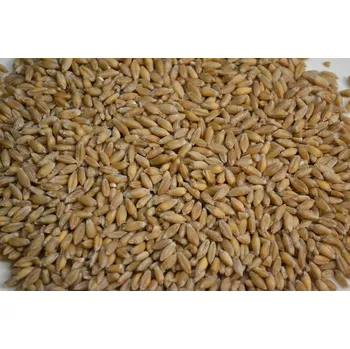 Krmivo pro hlodavce Granulované Krmivo 10 kg křeček , osmák degu , králíky, myši, pískomily, krysy, činčily, morče , veverky