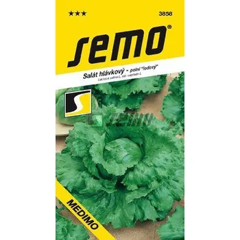 Semeno Semo Smržice Salát ledový - Medimo 0,6g EXPIRACE