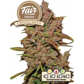Semeno Fair Seeds - Auto Crystal Meth 10 ks