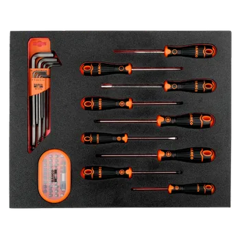 Dláto Bahco SCRD.,HEX.KEYS,BITS 49PCS2/3