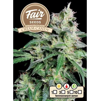 Semeno Fair Seeds - Auto Cream Candy 3 ks