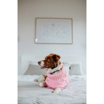 Dámský svetr Svetr pro psa Copánek růžový XXL