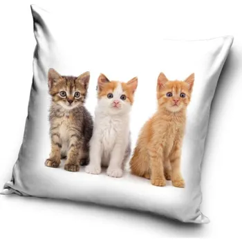 Polštář Povlak na polštář kočka - koťátka