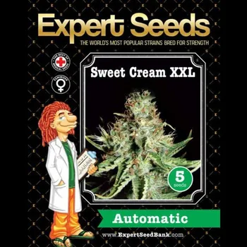Semeno Expert Seeds - Sweet Cream XXL Auto 1 ks
