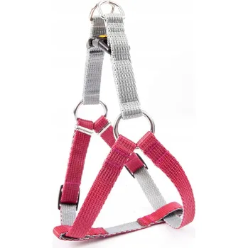 Postroj pro psa DINGO Postroj FRED Twilight Silver - bordó vel 40 (1 cm)