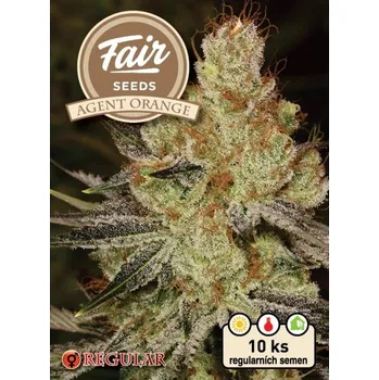 Semeno Fair Seeds - Agent Orange regular 10 ks