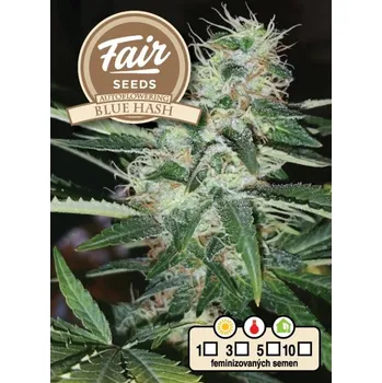 Semeno Fair Seeds - Auto Blue Hash 5 ks