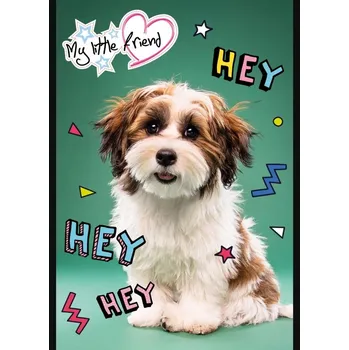 Zápisník St. Majewski Notes A6, vícebarevný