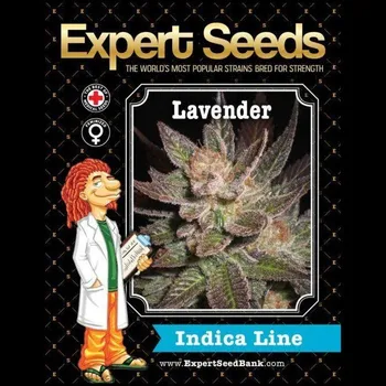 Semeno Expert Seeds - Lavender 5 ks