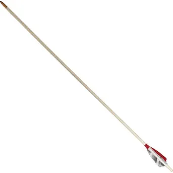 Karnevalový doplněk imago Šíp dřevěný - péřové letky, žíhané