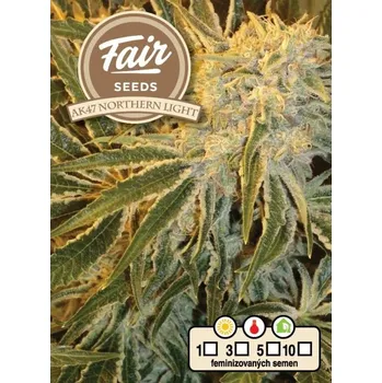 Semeno Fair Seeds - AK 47 x Northern Light 3 ks