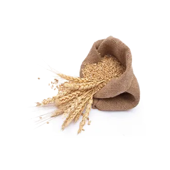 Krmivo pro hospodářské zvíře Pšenice zrno 50 Kg