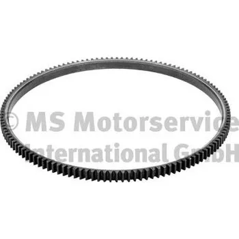 Setrvačník motoru Ozubený věnec, setrvačník, 20090208265