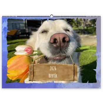 Fotokalendář Fotokalendář A4 na šířku, Vlastní fotky, Online editor a snadná výroba. Motiv Hafíci