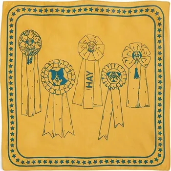 Šátek Šátek pro psa HAY 55 x 55 cm oranžová barva AD858.D281.AH98 22X, vel. ONE SIZE