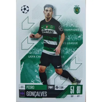 Sběratelská karetní hra Pedro Goncalves