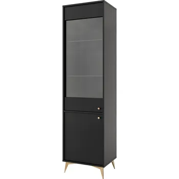 Knihovna TOKYO 1 c | vitrína 101 | 51,8 cm | černá grafit/zlatá