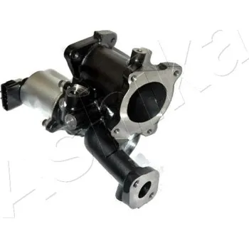 Ventil palivového systému Ventil recirkulace výfukových plynů, SE07-0094