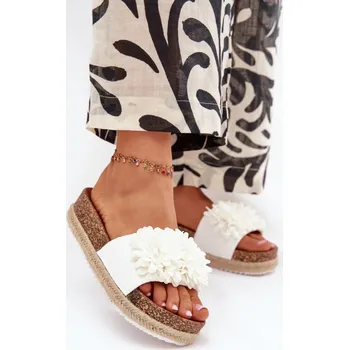 Dámské žabky Pantofle model 216068 Step in style 38