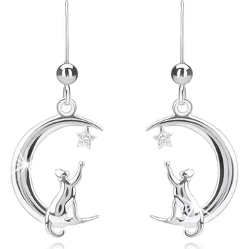 Náušnice Šperky Eshop Stříbrné 925 náušnice, visací - půlměsíc, hvězda se zirkony, kočka s ocasem, afro háček