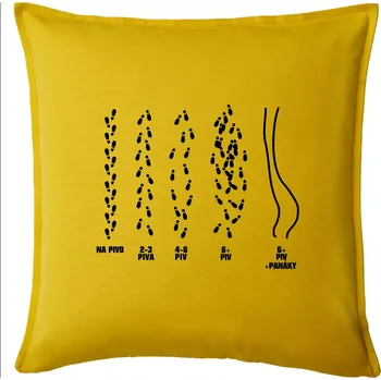 Polštář Cesta na pivo a domů - Polštář 50x50 - 50x50 - Pouze potah ( Žlutá )