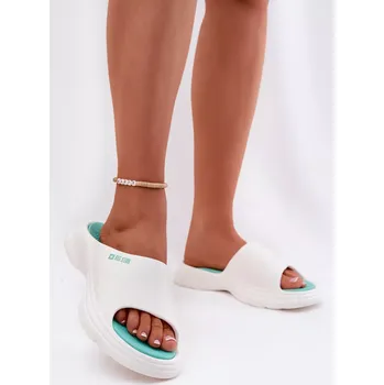 Dámské žabky Pantofle model 212371 Step in style 39