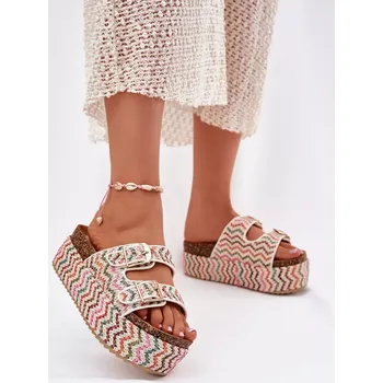 Dámské žabky Pantofle model 213948 Step in style 37