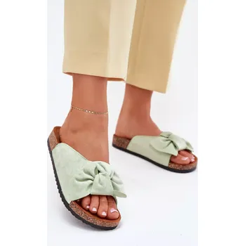 Dámské žabky Pantofle model 214489 Step in style 37