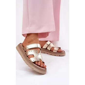 Dámské žabky Pantofle model 212597 Step in style 40