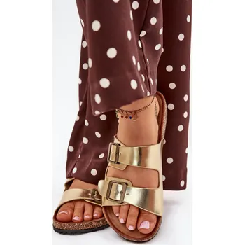 Dámské žabky Pantofle model 216127 Step in style 37