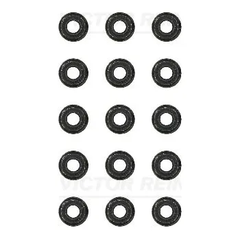 Ventil motoru Sada těsnění, dřík ventilu, 12-31306-10