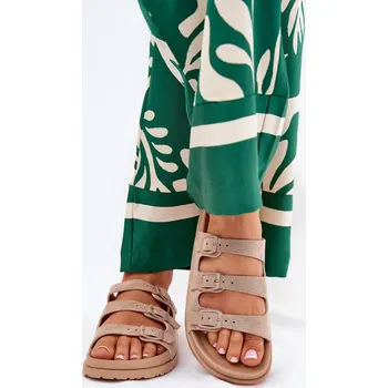 Dámské žabky Pantofle model 212148 Step in style 38