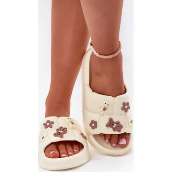 Dámské žabky Pantofle model 212368 Step in style 40/41