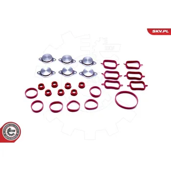 Těsnění motoru Sada těsnění, koleno sacího potrubí, 96SKV045