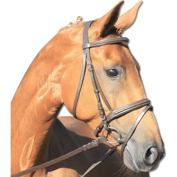 Sport WALDHAUSEN Uzdečka Star Lifestyle Waldhausen, hnědá FULL