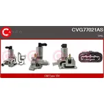 AGR ventil, CVG77021AS