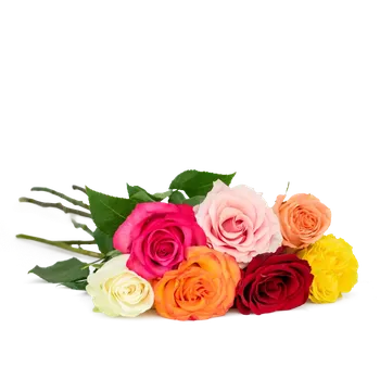 umělá květina Kytice růží Růže ekvádorské 80cm Červená - Belles Fleurs