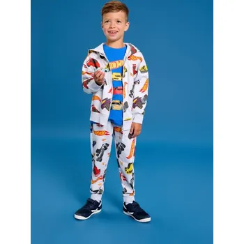 Chlapecká mikina Sinsay - Mikina s kapucí Hot Wheels - šedá - 081FC-09M - 081FC-09M-134