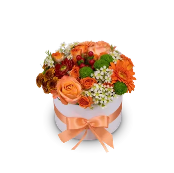 umělá květina Box oranžových květin Aurélie malý - Belles Fleurs