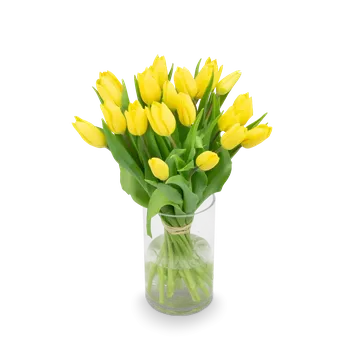 umělá květina Kytice tulipánů Maxime Malá 21 ks – Belles Fleurs