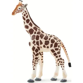 Safari Giraffe