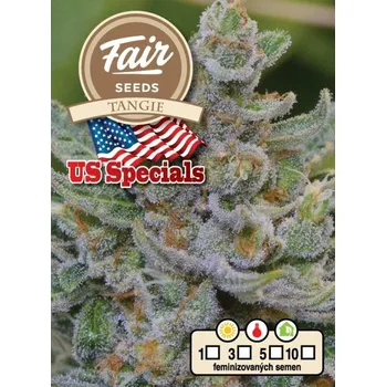 Semeno Fair Seeds - Tangie 5 ks
