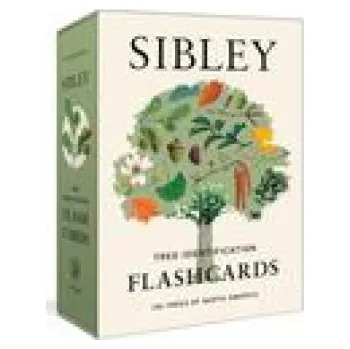 Beletrie pro dospělé SIBLEY TREE IDENTIFICATION FLASHCARDS (SIBLEY DAVID ALLEN)(Pevná)