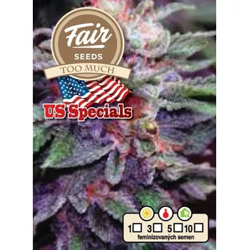 Semeno Fair Seeds - Too Much 10 ks