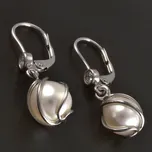 Goldstore Náušnice bílé zlato brilianty a perly 14.19.NA106789 Váha: 2.35 g