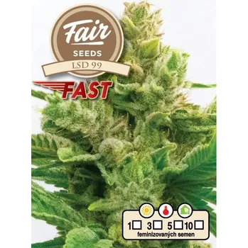 Semeno Fair Seeds - LSD 99 Fast 3 ks