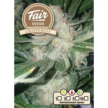 Semeno Fair Seeds - Auto Grapefruit 5 ks