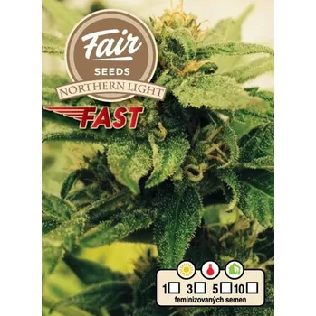 Semeno Fair Seeds - Northern Light Fast 3 ks