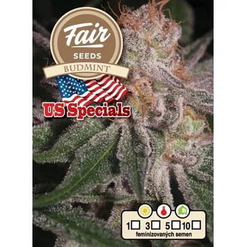 Semeno Fair Seeds - Budmint 10 ks