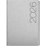 Denní diář 2026 - David - ForMen - A5 - Silver